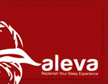 Catalpa - >Logo Design / Packaging Design / Art Direction